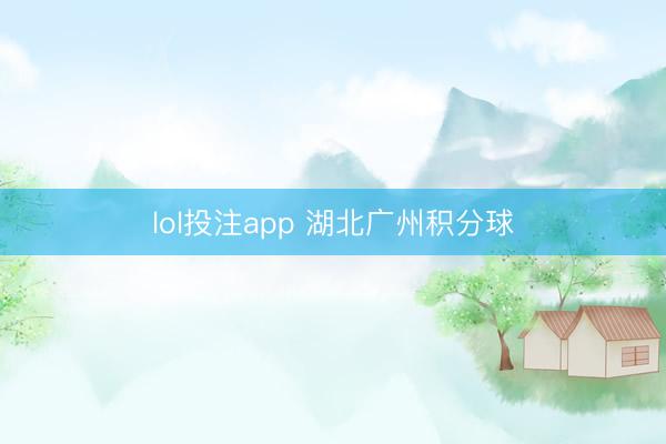 lol投注app 湖北广州积分球