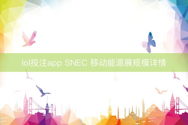 lol投注app SNEC 移动能源展规模详情