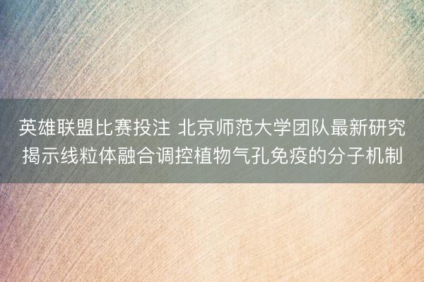 英雄联盟比赛投注 北京师范大学团队最新研究揭示线粒体融合调控植物气孔免疫的分子机制