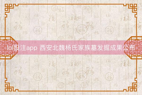 lol投注app 西安北魏杨氏家族墓发掘成果公布