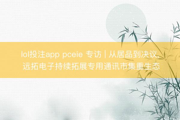 lol投注app pceie 专访 | 从居品到决议， 远拓电子持续拓展专用通讯市集重生态