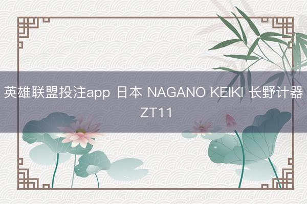 英雄联盟投注app 日本 NAGANO KEIKI 长野计器 ZT11