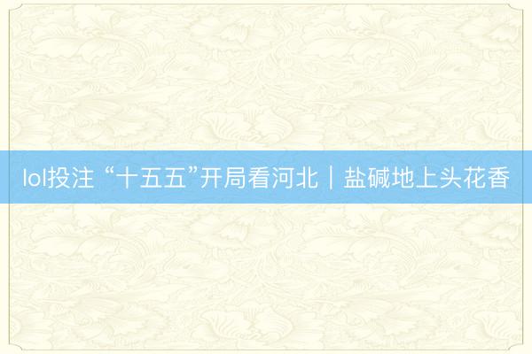 lol投注 “十五五”开局看河北|盐碱地上头花香