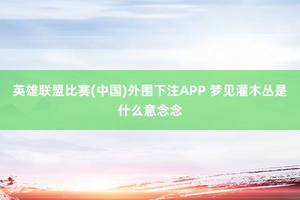 英雄联盟比赛(中国)外围下注APP 梦见灌木丛是什么意念念