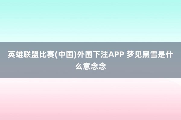 英雄联盟比赛(中国)外围下注APP 梦见黑雪是什么意念念