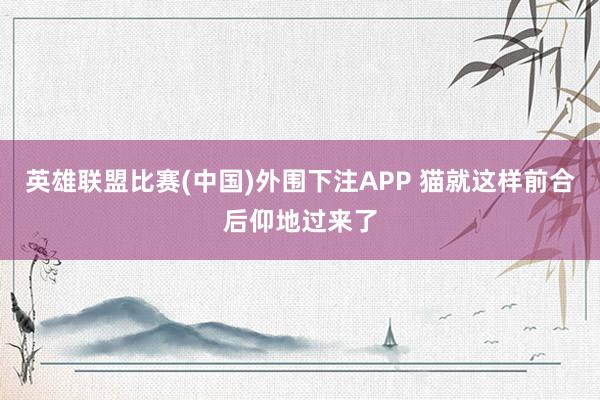 英雄联盟比赛(中国)外围下注APP 猫就这样前合后仰地过来了