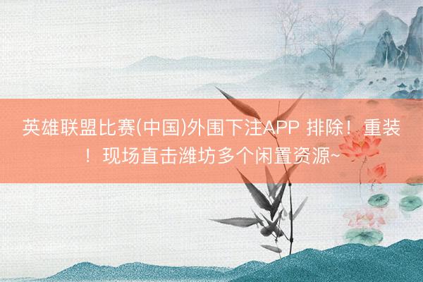 英雄联盟比赛(中国)外围下注APP 排除！重装！现场直击潍坊多个闲置资源~