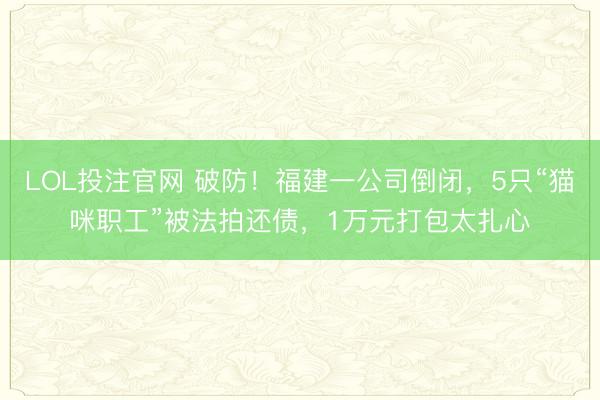 LOL投注官网 破防！福建一公司倒闭，5只“猫咪职工”被法拍还债，1万元打包太扎心