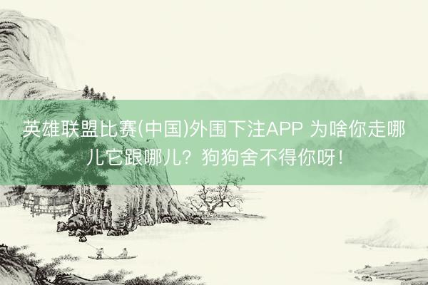 英雄联盟比赛(中国)外围下注APP 为啥你走哪儿它跟哪儿？狗狗舍不得你呀！