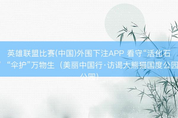 英雄联盟比赛(中国)外围下注APP 看守“活化石”  “伞护”万物生（美丽中国行·访谒大熊猫国度公园）