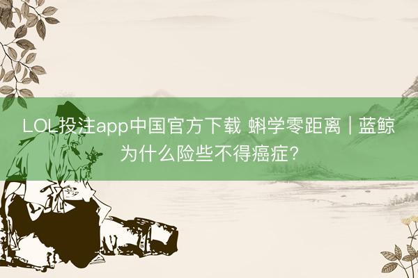 LOL投注app中国官方下载 蝌学零距离 | 蓝鲸为什么险些不得癌症?