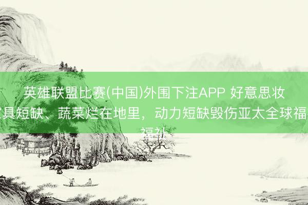 英雄联盟比赛(中国)外围下注APP 好意思妆家具短缺、蔬菜烂在地里，动力短缺毁伤亚太全球福祉