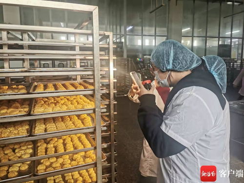 海南本土网红探访龙泉人食品工厂，沙画演绎年货安全采购之旅